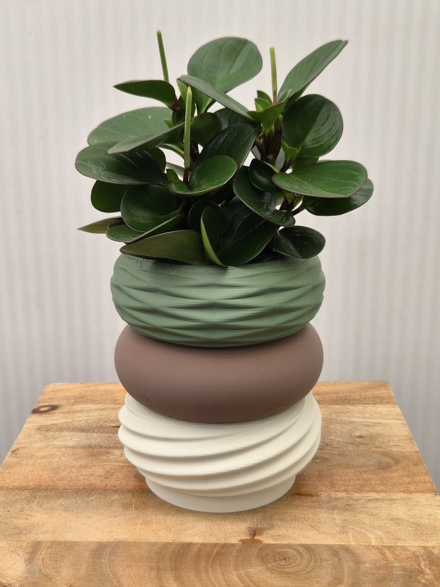 Moduvase van drie secties met een plant erin